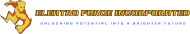 Elektro Force